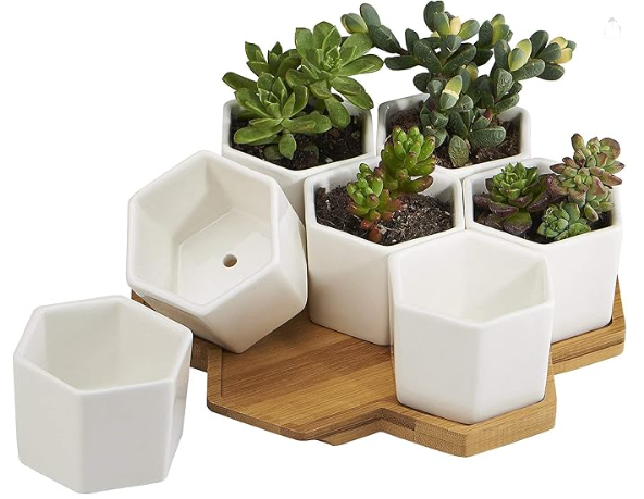 FLOWERPLUS Planter Pots Indoor, 7 Pack 2.75 Inch Modern White Ceramic Small Hex Succulent Cactus Flower Plant Pot with Bamboo Tray for Indoors Outdoor Office Home Garden Kitchen Decor (Hexagon)